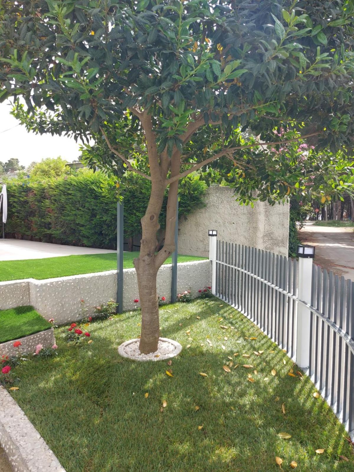 Vila Green Relax Vlorë Esterno foto
